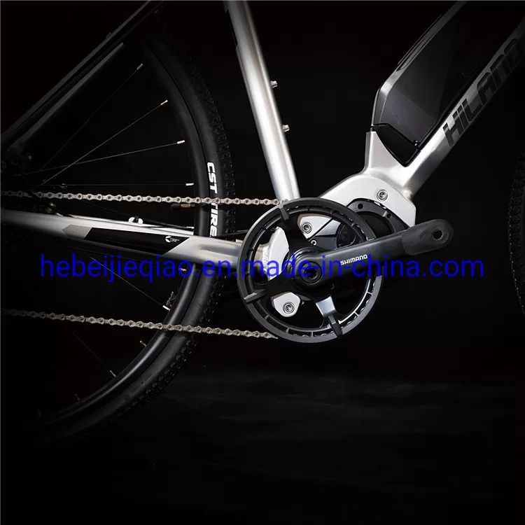 36V 11speed Racing Electric Bike with Shimano Motor E-Bike
