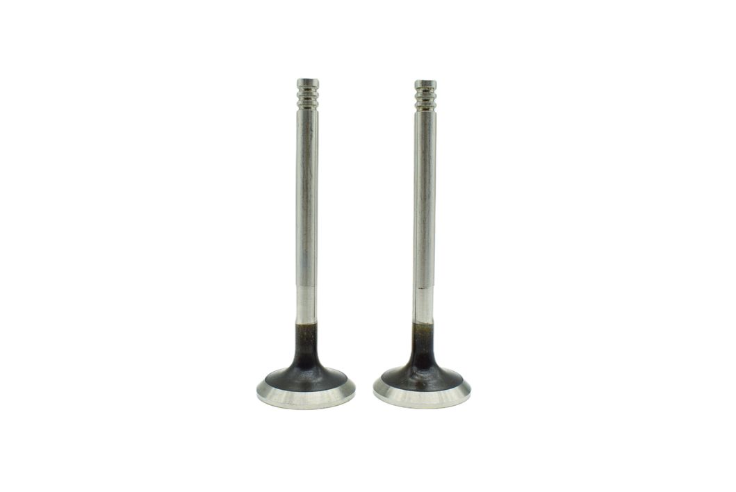 Car Parts Engine Valve for VW Caddy-2 Passat Vento 1.9d (1Y - AAZ) 028 109 611e Valve