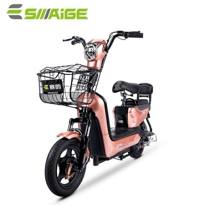 EEC Certificate Electric Scooter 48V12ah/20ah Lead-Acid Battery for Europe 25km/H