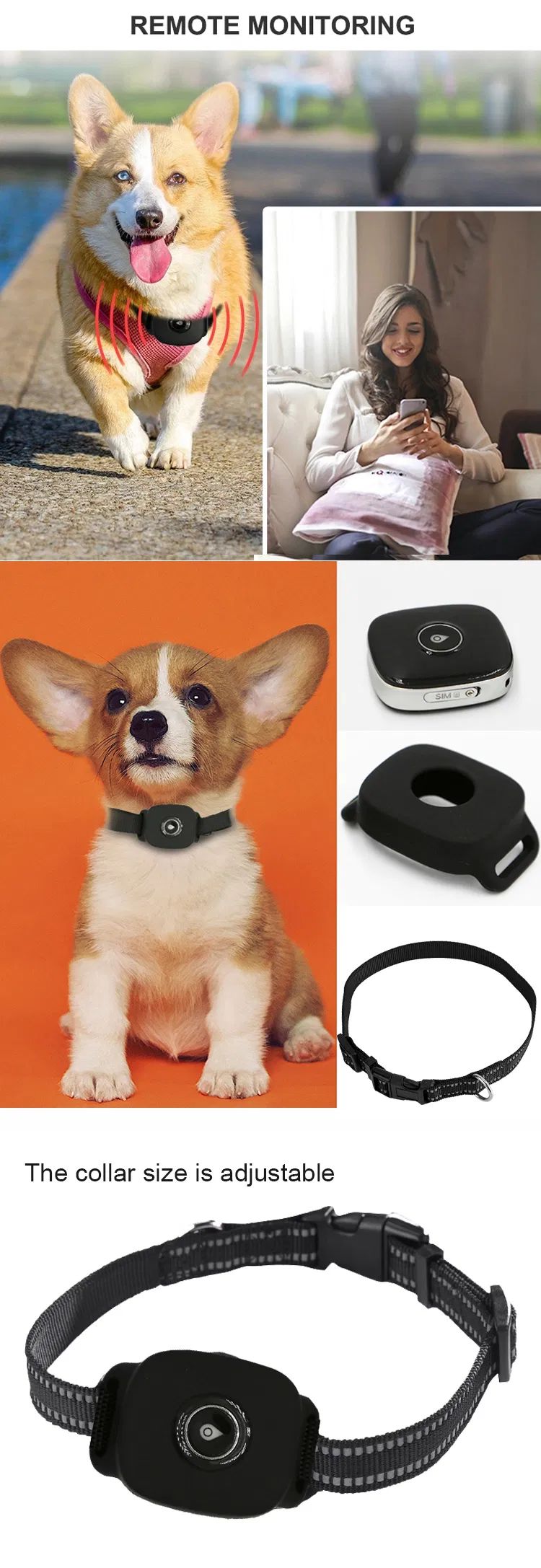 New Launched 4G IP67 Waterproof Mini Pet GPS Tracking for Dog Cat Long Standby Free APP Platform PM04C