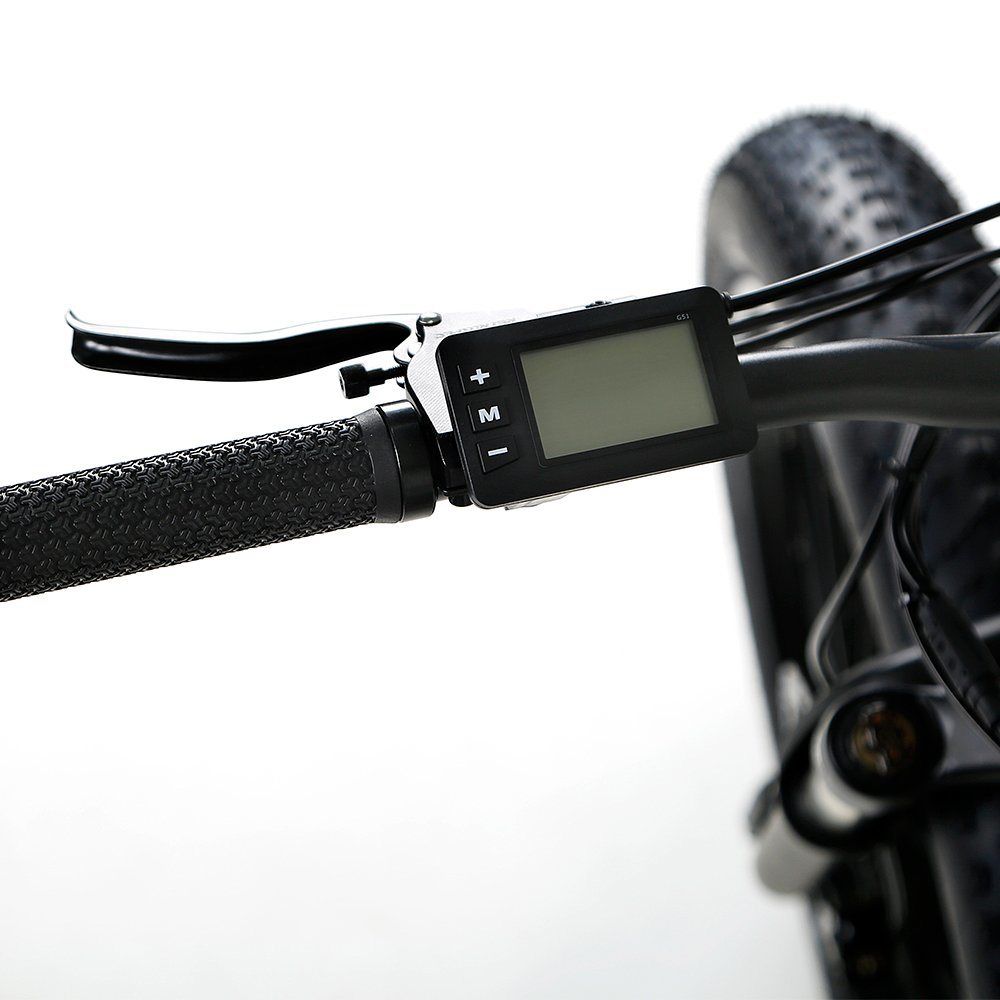 Elegant 26 Inch Aluminum Alloy &amp; Lithium Battery Electric Bike