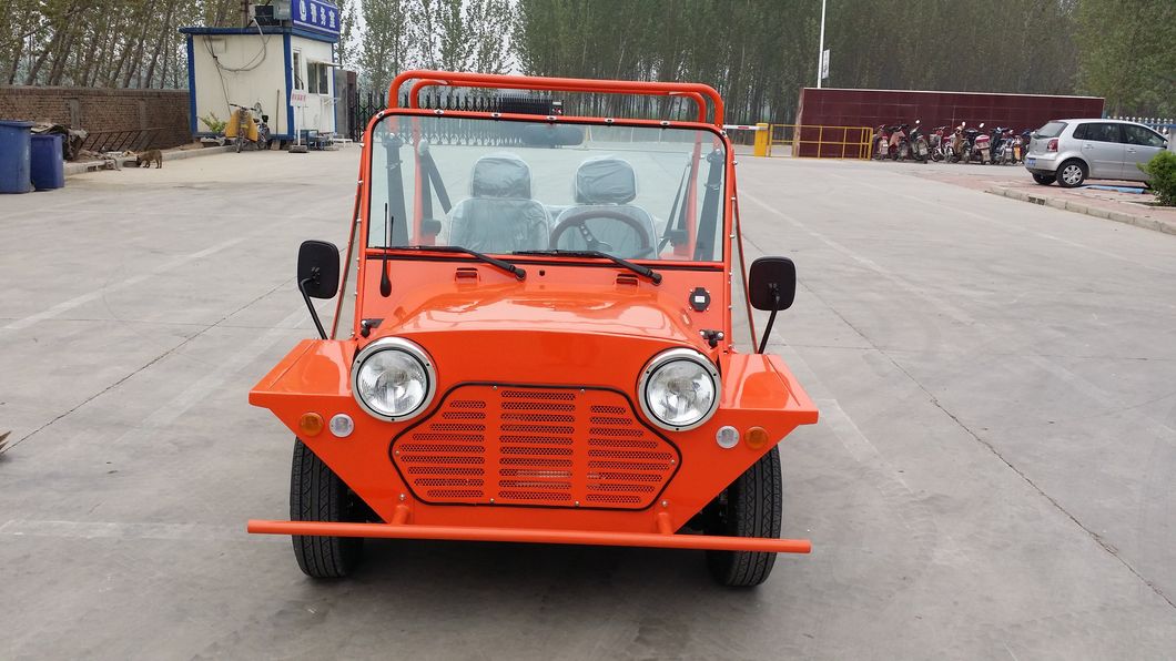 Moke Electric Vehicle Tour Car Electric Sightseeing Vehicle (72V)