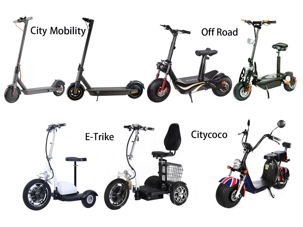 600W Differential Motor 60kms 3 Wheel Electric Mobility Scooter