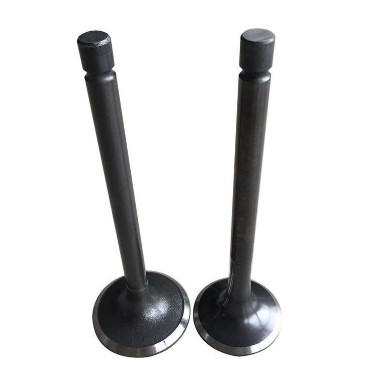 Diesel Parts Intake Engine Valve for Isuzu