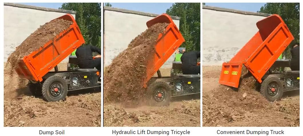 Cargo Safe Durable Automatic Hydraulic Lifting System Mini Motor Tricycle Load Tipper Dumper Truck Tricycle