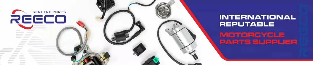 Reeco OE Quality Motorcycle Stator Coil for Honda Cbx 250 Twister
