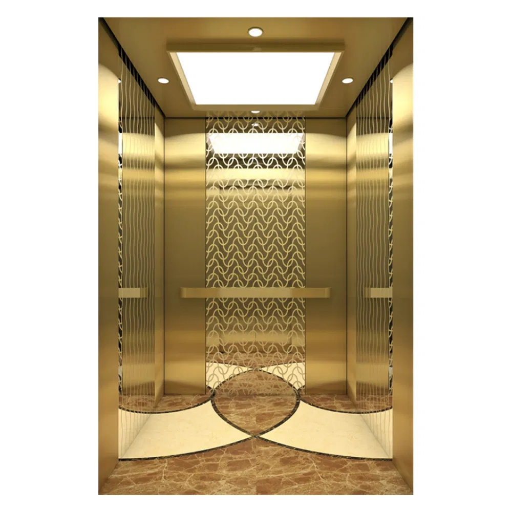 8stops 1000kg Elevator 1.0 Speed Mrl Passenger Elevator Good Price