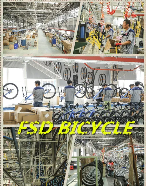 28&quot; Steel Frame Retro 1 Speed Classic City Bike for Lady OEM