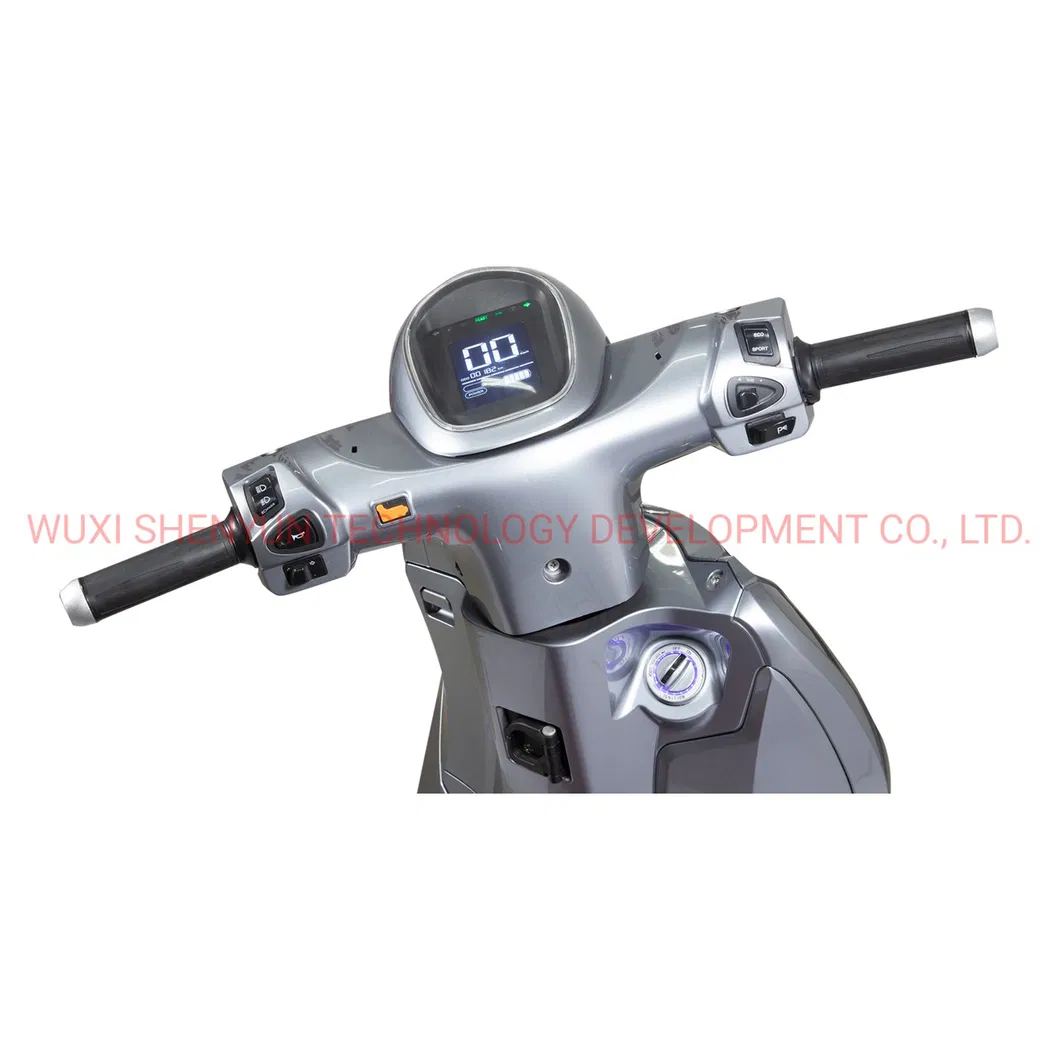 Big Powerful Motor Fast Speed E-Motorcycle/ E-Scooter with CBS Brake