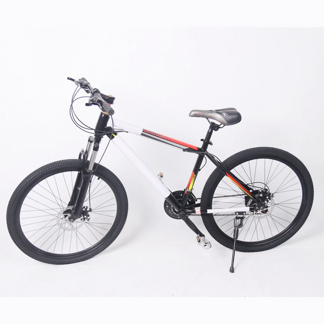 26 Size MTB Bicycle with Spoke Wheel 21 Speed (9628S)
