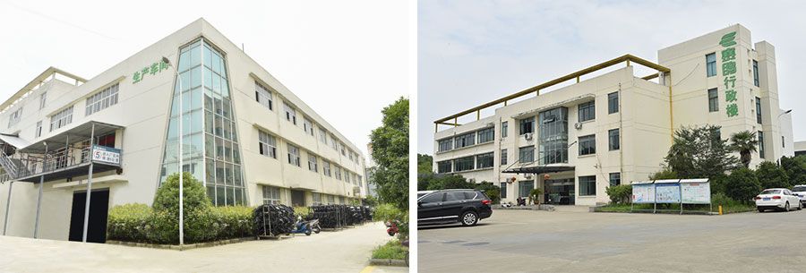 Saige EV Group 800W Fashionable 10 Inch Motor Front Disc Rear Drum Brake 48V 60V Lead Acid or Lithium Battery E Bike
