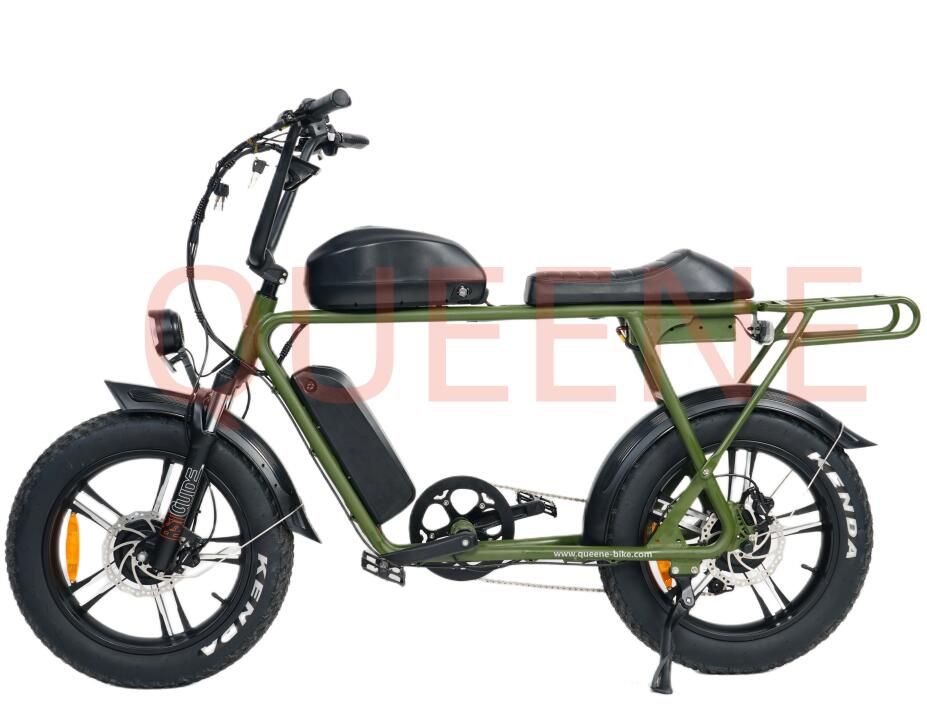 Queene/New Design 73 Fat Tire Electric Bicycle Double Battery 20 Inch Super Electric Bike E-Bike with Two Seats