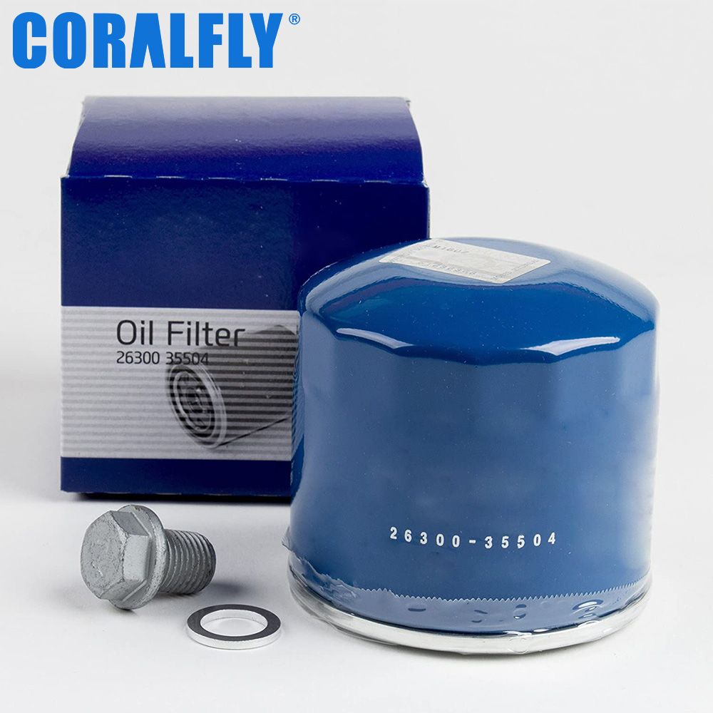 Coralfly Filter 3191021000 33095-3kaa0 31112-3X000 31112 3X000 for Hyundai Elantra Fuel Filter