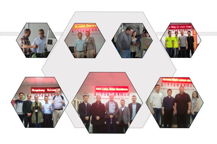Hongsheng Custom Small Carbon Steel Stainless Steel Metal Leaf Spring Sheet Metal Fabrication Stamping Parts