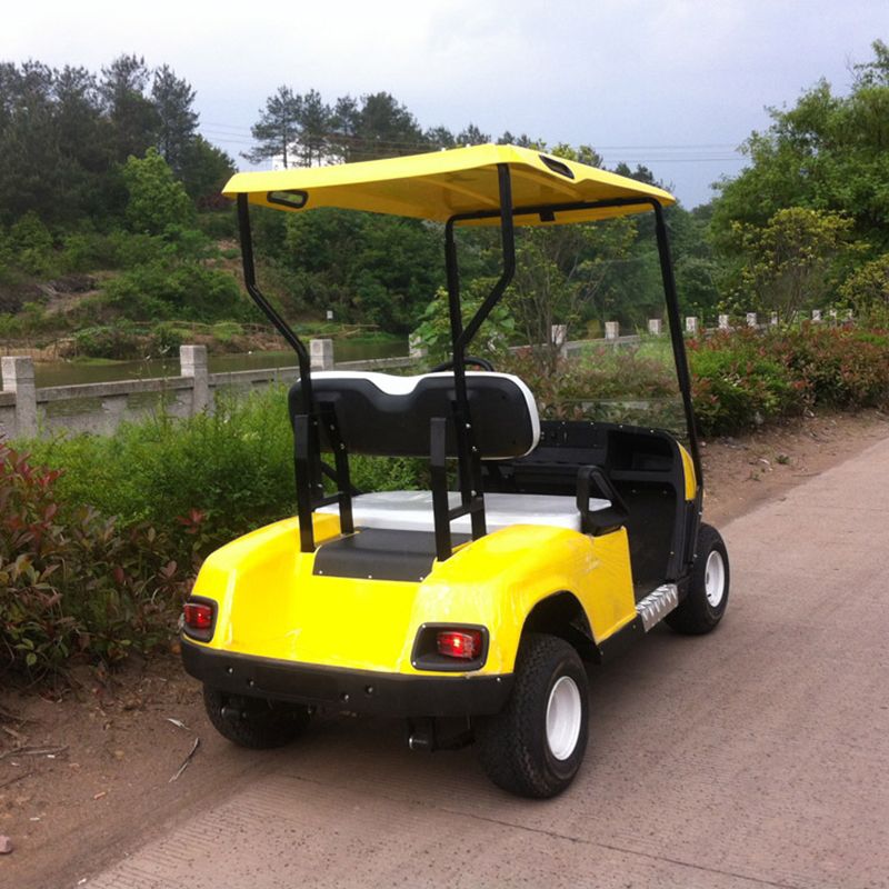 New Model 2 Seater Golf Cart with Large Storage Compartments