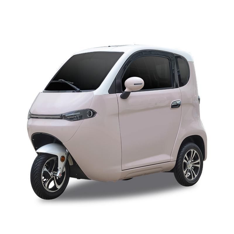 EEC L2e Approval 2 Seater Electric Adult Tricycle Cargo Covered for EU
