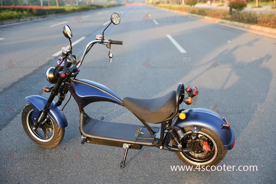 EEC 60V Citycoco Chopper Non Electric Scooter CE on Two Wheels Zhejiang Luqi Intelligent EEC Scooter