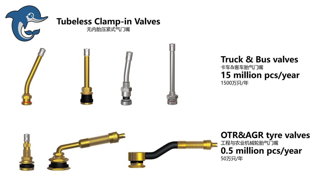 Himile High Quality Auto Parts Tr501, Car Tyre Valve, Hot Sale Brass Tubelss Tyre Valve, Clamp-in Tyre Valve
