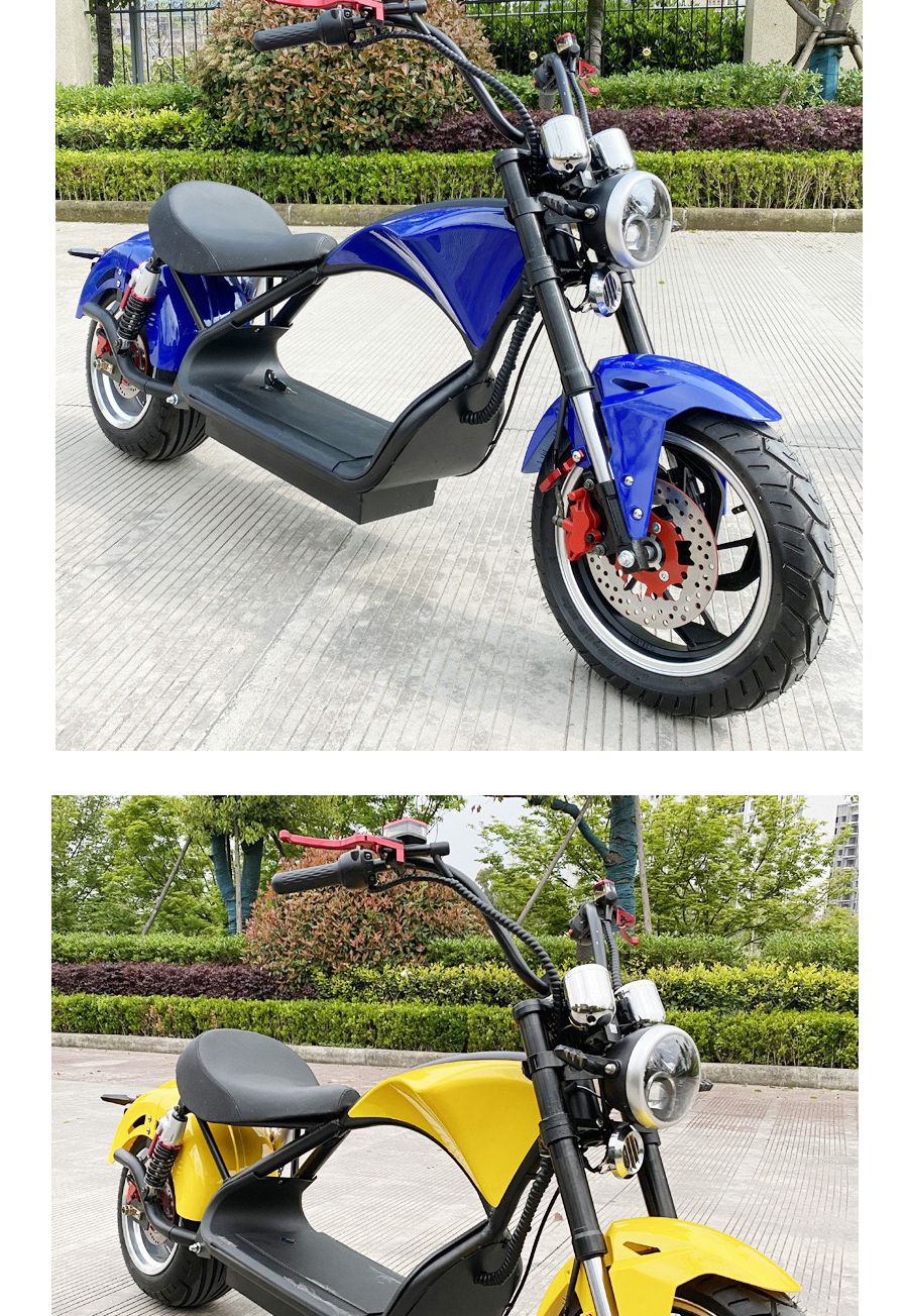 Basic Customization Citycoco Fashion Scooter Electric Motorcycle Best in 2000W 60V20ah 45km/H