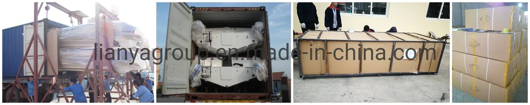 Liya 5.2m-6.6m Inflatable Rigid Boats with Outboard Motor