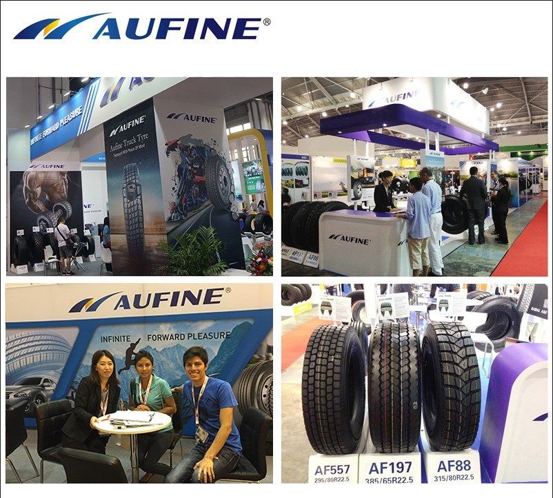 Maxell Brand Tyres/Tires 13r22.5 Truck Tyre/Tire with Famous Pattern From Tire Factory