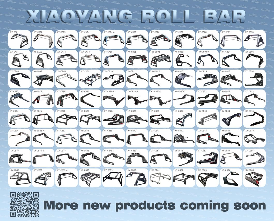 Factory Direct 4X4 Black Steel Roll Bar for Hilux Vigo Revo Triton Dmax