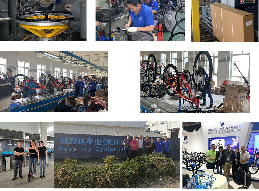 Good Design 27.5inch Electric Bike with Inner Battery