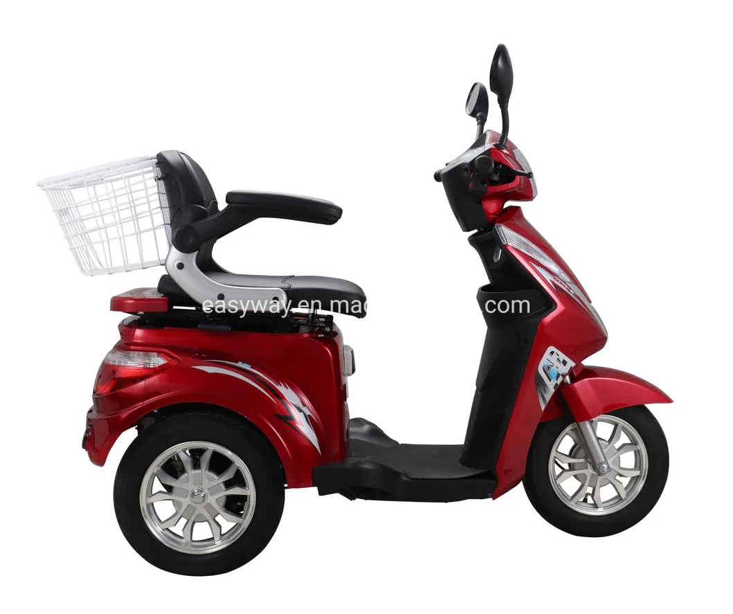 EEC Apprpved Electric Tricycle with 1000W Brushless Motor
