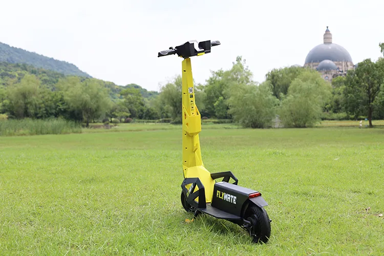 Motorized Scooter for Adults Electric Scooter Bike FM02 Bird Scooters
