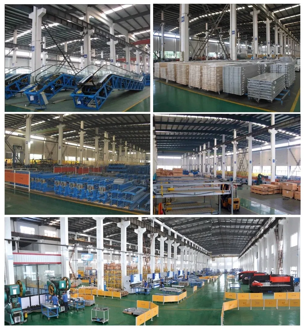 630kg 8 Persons Passenger Lift Elevator Small Elevators for Home Use with High Standard