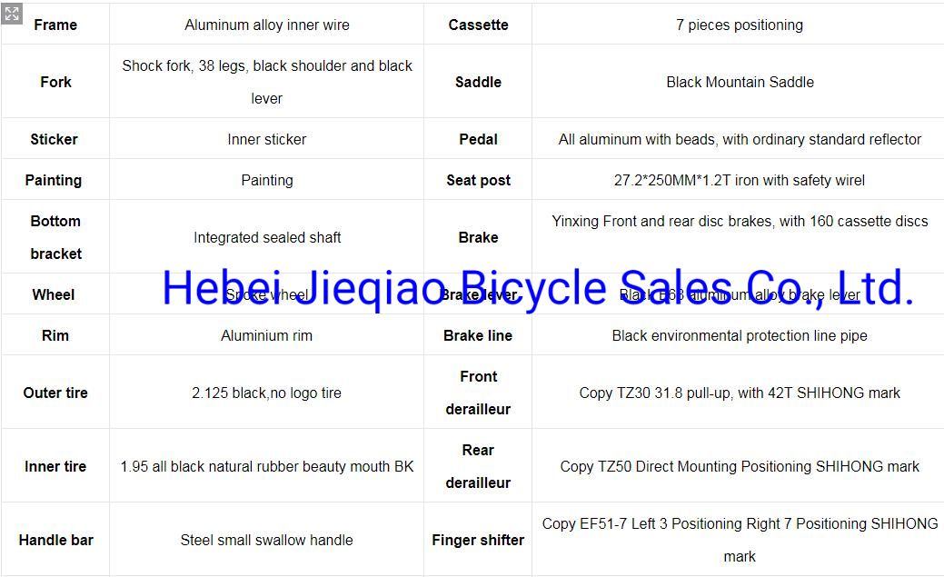 Customized 24 Inch 21 Speed Dual Disc Brake Mountain Bike