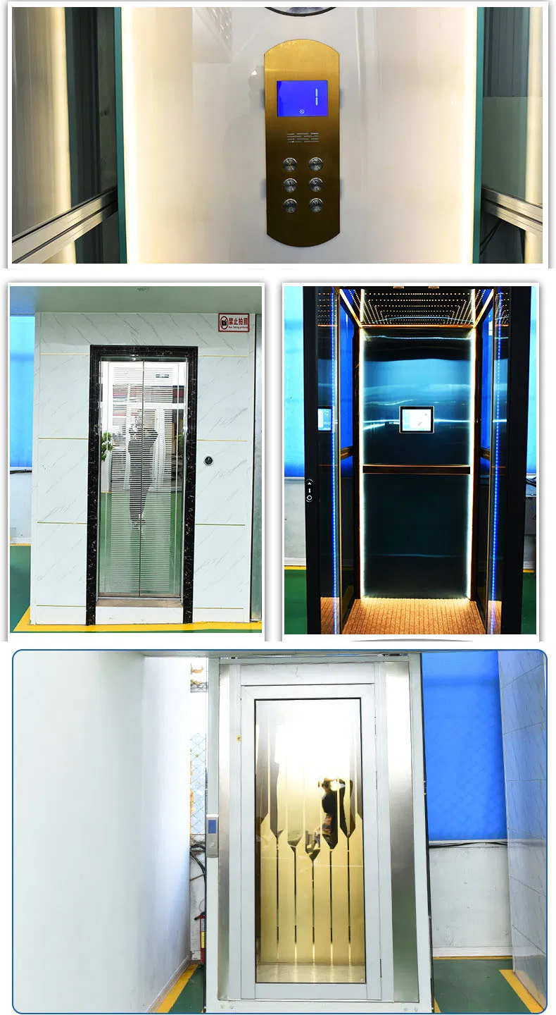 Elevated Sales Digital AC Belt Attic Price Hitech Lop Roofing Elevators Cabin Pillow Load Mobile Hosting Passenger Elevator