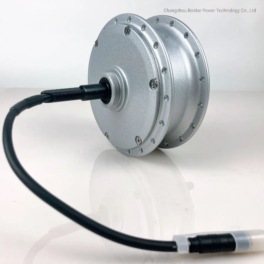 CE Approved 48V 350W Rear Drive Roller Brake Electric Bicycle Motor