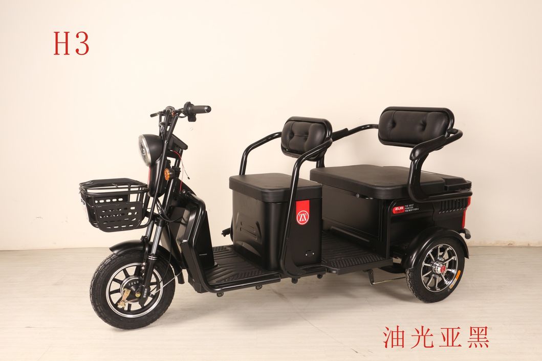 Low Speed Electric Tricycle Auto Rickshaw for Old Persons