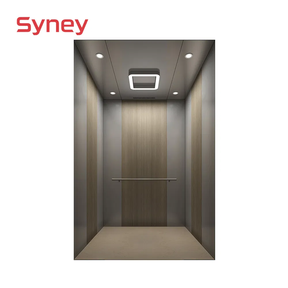 China Produce Free Handrail Cost Price Villa Elevator Passenger Lift
