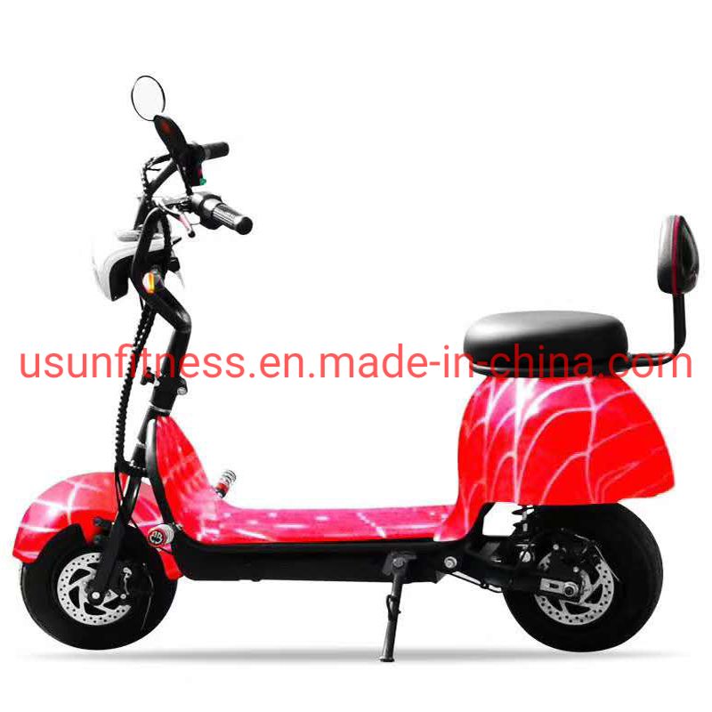 Wholesale Fat Tyre Mountain Electric Bike with Disc Brake