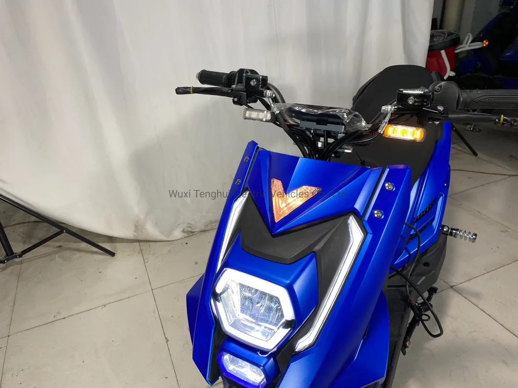 Chinese Factory Sale Electric Scooter Electric Motorcycle High Speed 1000W for Adult