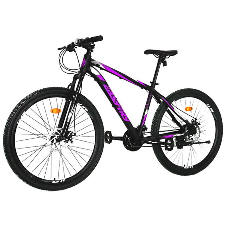 Hot Selling Custom High Carbon Steel MTB Bike 21 Speed 26*2.125 Tyre Mountain Bicycle
