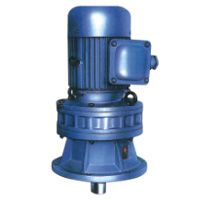 Cycloidal Reducer with Motor Speed Reduction Gearboxes Industrial Cycloid Gear Drive Pin Wheel Double Shaft Style Durable Professional Bw Bwd Bl Bld Bwe Series