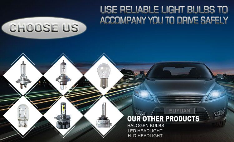 Wholesale T10 3030-19SMD LED Canbus Car Bulb for Vehicle Dashboard Light