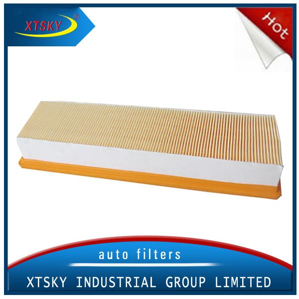Xtsky High Quanlity Air Filter 165469466r