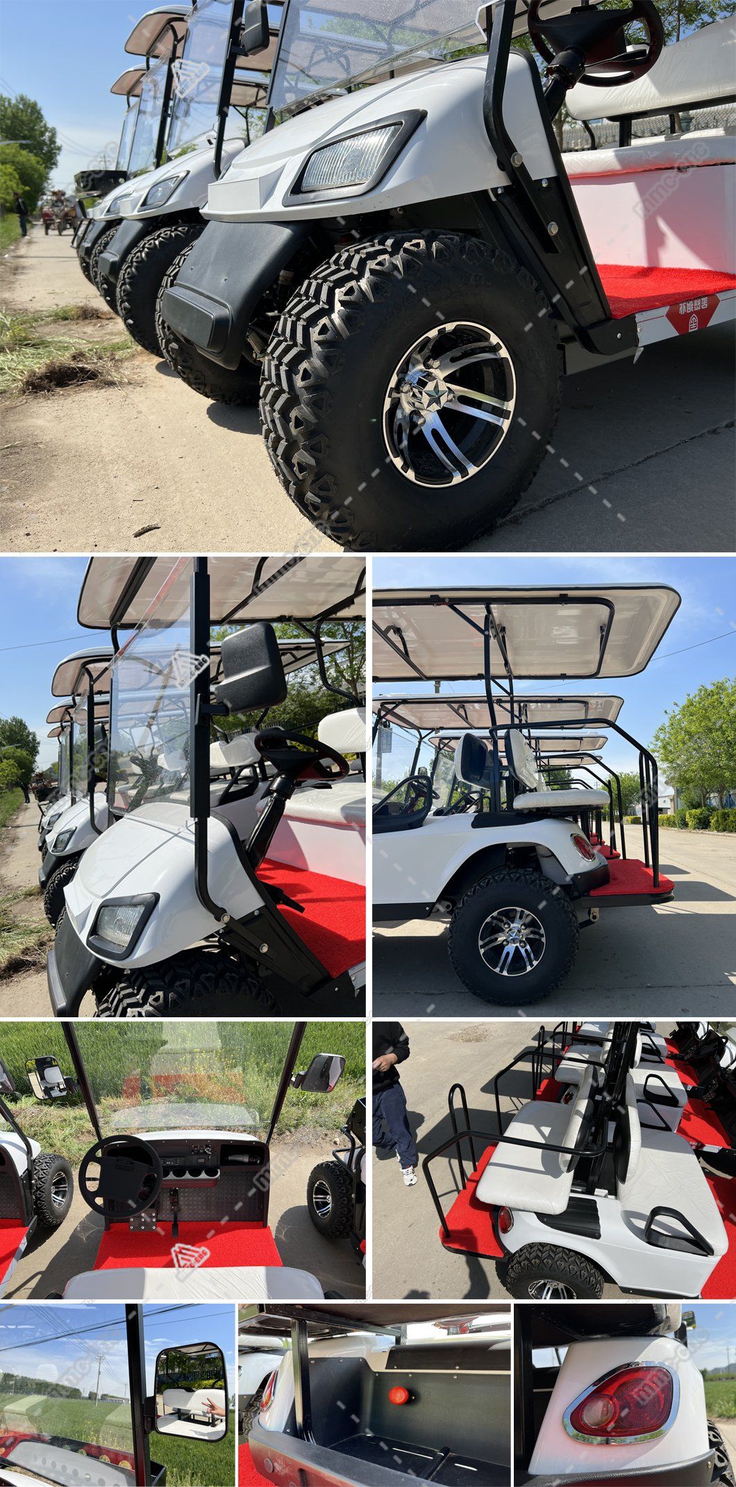 4-Seater Golf Cart with Cargo Box