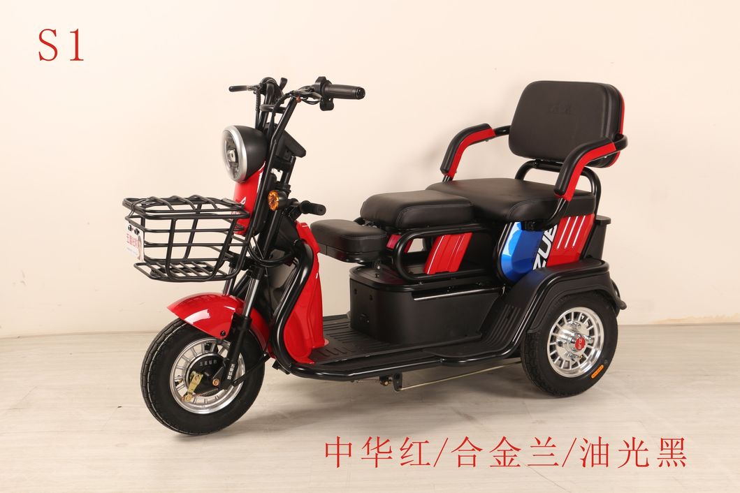 Low Speed Electric Tricycle Auto Rickshaw for Old Persons