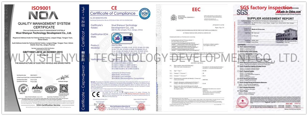 48V 500W European Market CE Certificated Hot Sale Electric Motor Bike Mobility Scooter with 18&quot; Tyre