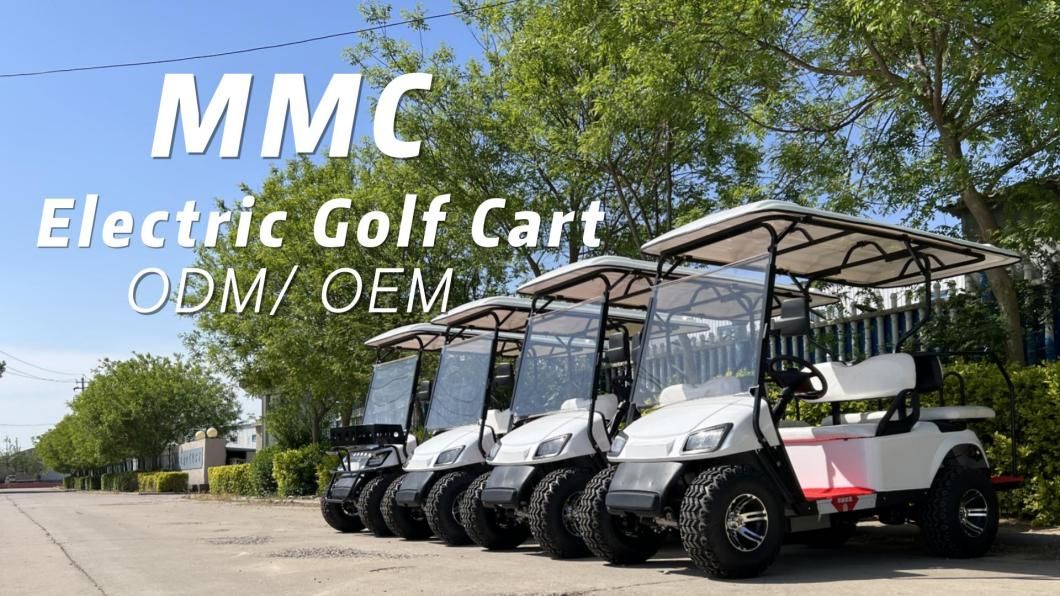 Custom 4/6 Seat off Road Hunting Electric Golf Cart