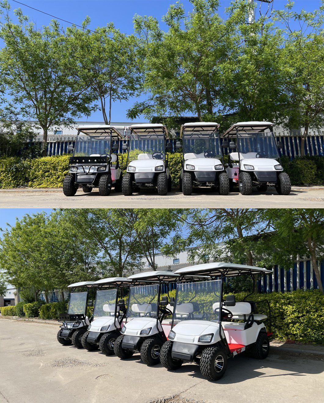 Custom 4/6 Seat off Road Hunting Electric Golf Cart