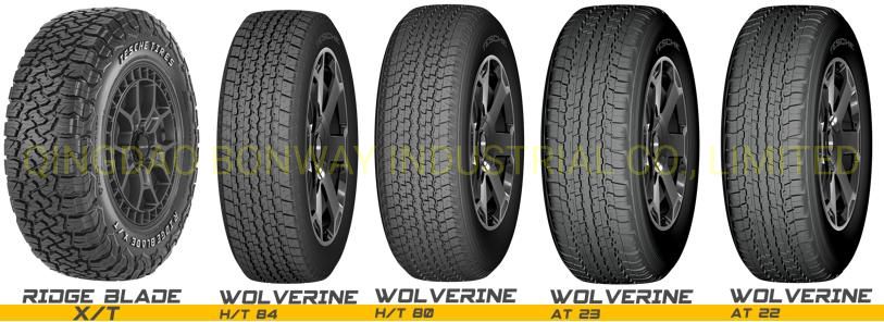 Tesche Passenger PCR Tire, M/T Mud and Snow Tire, a/T All Terrain Car Tire, SUV 4X4 Tire, UHP High Performance Tire, Radial Commercial Car Tire Good Price