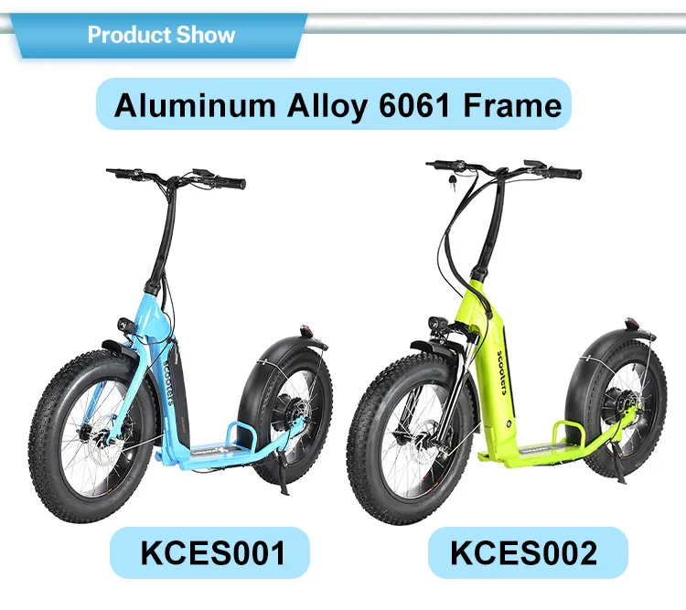 Hot Sale High Quality 500W Foldable Electric Scooter