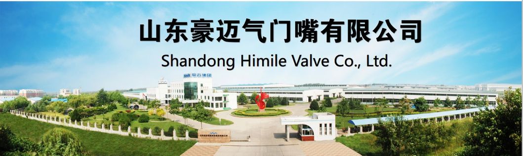 Himile Tyre Valve V3-22-1/58ms Tubeless Valves Bus and Heavy-Duty Truck Valves Clamp-in Valves for Truck and Bus Car Tires Truck Tire.