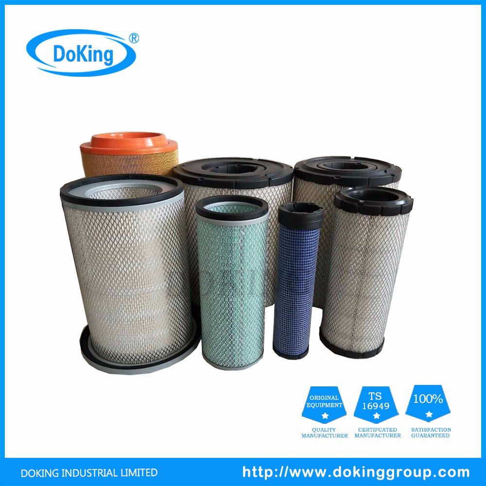High Quality Best Quality P822768 Air Filter for Mbz
